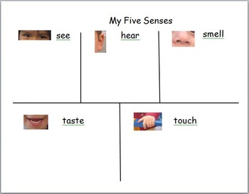 Preview of Five Senses Chart