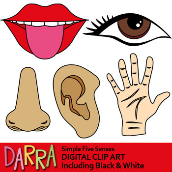 Five Senses Clip Art by DarraKadisha | Teachers Pay Teachers