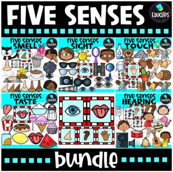 Preview of Five Senses Clip Art Bundle {Educlips Clipart}
