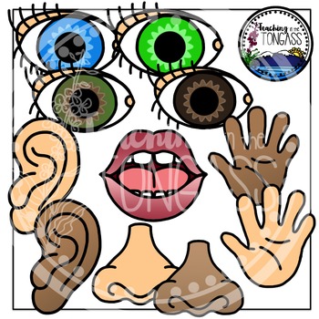 Five Senses Clipart by Teaching in the Tongass | TpT
