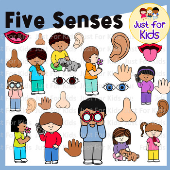 Five Senses Clipart By Just For Kids．42pcs by Just For Kids | TPT
