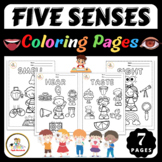 Five Senses Coloring Pages : Touch, See, Hear, Smell, Tast