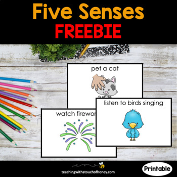 Preview of Health | Five Senses| 5 Senses Activity | FREEBIE