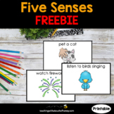 Health | Five Senses| 5 Senses Activity | FREEBIE