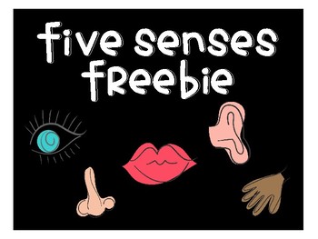 Preview of Five Senses Freebie