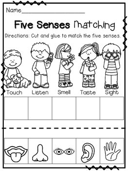 Five Senses Fun Packet ~ NO PREP by DrRichardson | TpT