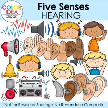 Preview of Five Senses - Hearing