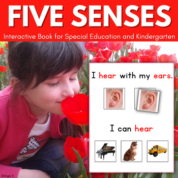 Preview of Five Senses Adapted Book Special Ed Autism Little Learners 5 Senses Activity