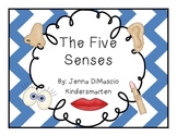 Five Senses Interactive Mini Unit