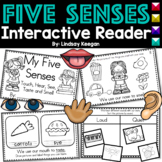Five Senses Interactive Reader
