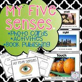 Five Senses Kindergarten and First Grade
