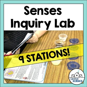 Preview of Five Senses Lesson Inquiry Lab Activity - Senses Stations for High School