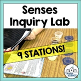 Five Senses Lesson Inquiry Lab Activity - Senses Stations 