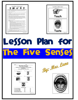 Preview of Lesson Plan for The Five Senses (and Activity!)