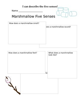 Preview of Five Senses Marshmallow Explore Worksheet