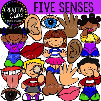 the five senses clipart