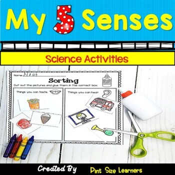 Preview of The Five Senses Activities | 5 Senses Worksheets