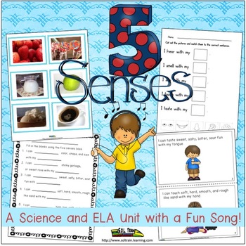 Preview of Five Senses Science and ELA Activities