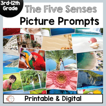 Preview of Five Senses Picture Writing | ESL Back to School Activity | ESL Writing