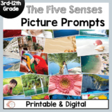Five Senses Picture Writing | ESL Back to School Activity 