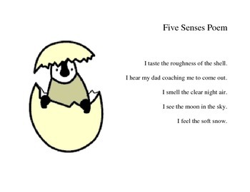 Five Senses Poem By Alicia Mosley Teachers Pay Teachers