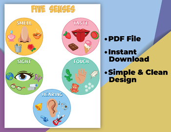 Preview of Five Senses Poster, Classroom Educational Poster. for Preschool, Kindergarten.