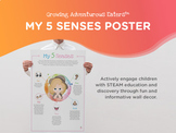 Five Senses Poster, Classroom Poster, STEAM Sensory Poster