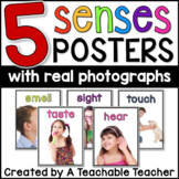 Five Senses Posters