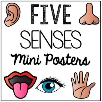 Five Senses Posters by Littles Learning Life | Teachers Pay Teachers