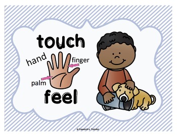 Five Senses Posters Freebie *2 sets* with or without body part labels ...
