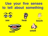 Five Senses PowerPoint for Kindergarten