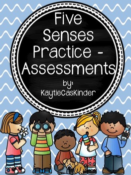 Preview of Five Senses: Practice and Assessments