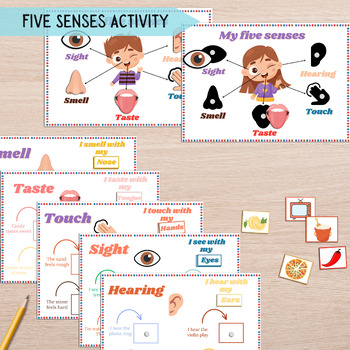 Preview of Five Senses Printable Learning, 5 Senses Sorting Activity, Pre k Human Anatomy