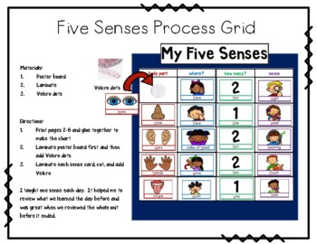 Preview of Five Senses (Process Grid Anchor Chart)