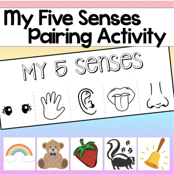 Preview of Five Senses Projet