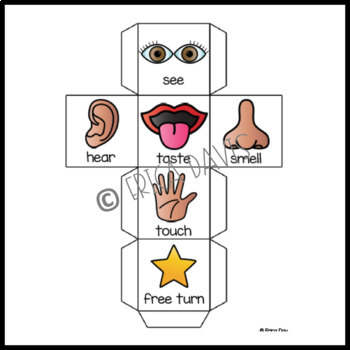 Five Senses Center by Miss Davis in the District | TpT