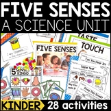 Five Senses Kindergarten Science Unit | 5 Senses Worksheet
