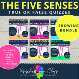 Five Senses Sensation and Perception Psychology True False