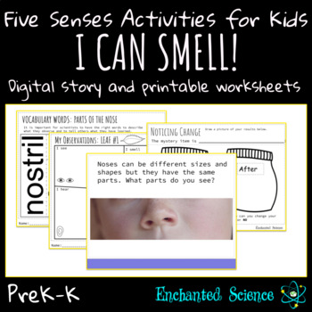 Preview of Five Senses Activities Sense of Smell for PreK and Kindergarten Science