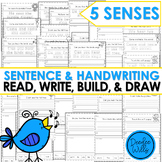 Five Senses Handwriting Worksheets Read it Write it Build 