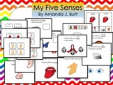 Five Senses:  Smell, Touch, Taste, Hear, See, Autism; Spec