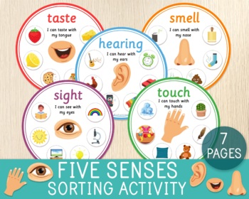 Preview of Five Senses Sorting Activity, Classification Game, Science Unit, Busy Bag Idea