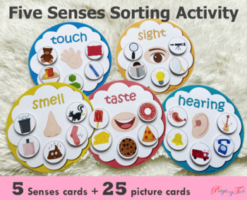 Preview of Five Senses Sorting Activity, Learn 5 Sense, Preschool Activity, Busy Bag