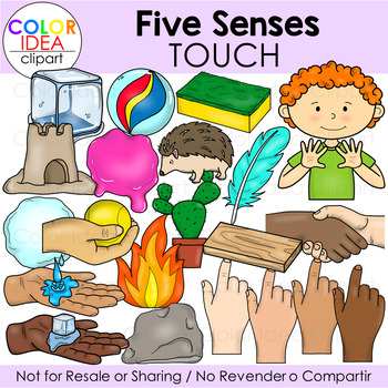 Preview of Five Senses - Touch