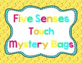 Five Senses Touch Bags