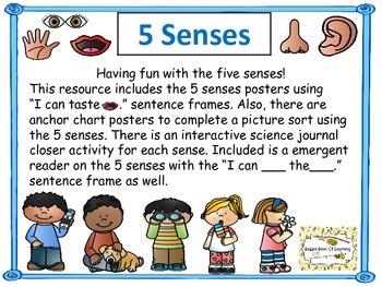 Five Senses Unit With Interactive Science Journal Activity TpT