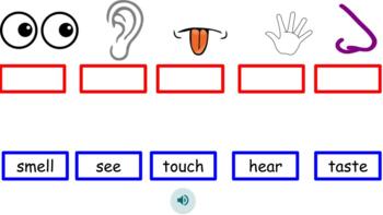 Preview of Five Senses Vocabulary Drag and Drop Activity