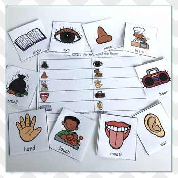 Five Senses Vocabulary Write The Room by The Wright Nook | TpT