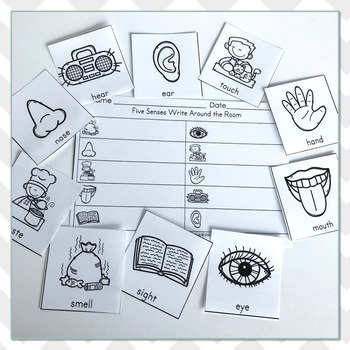 Five Senses Vocabulary Write The Room by The Wright Nook | TPT