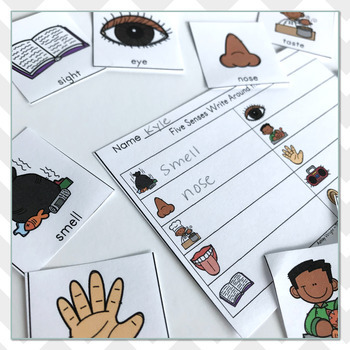 Five Senses Vocabulary Write The Room by The Wright Nook | TPT